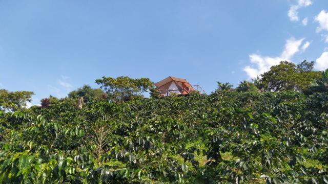 Glamping Orosierra Hotel Chinchiná Exterior foto